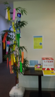 20170707_095244.jpg